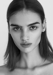 POLI KOROL
